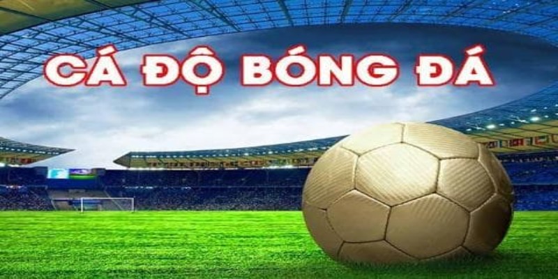 các cược bóng đá WW88