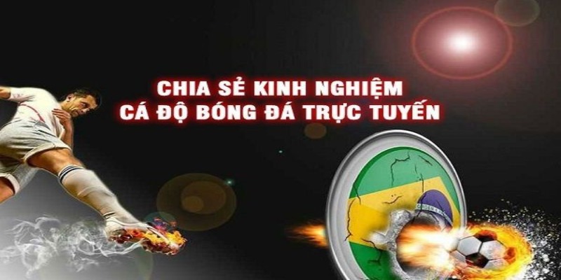 Chia sẻ về kinh nghiệm cá cược bóng đá