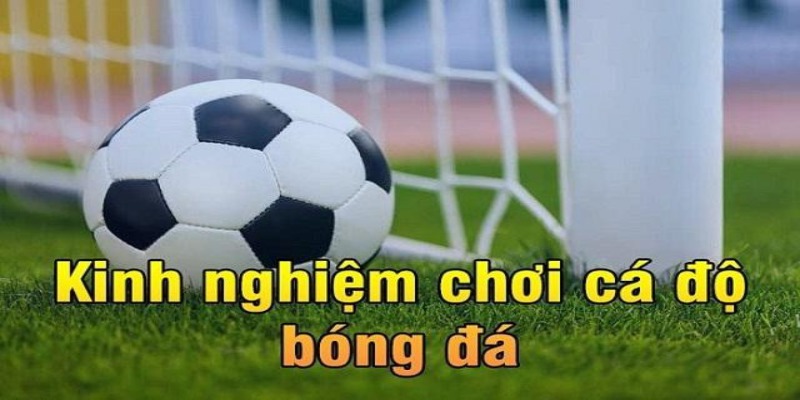 Tìm hiểu về kinh nghiệm cá cược bóng đá